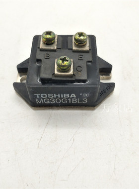 TOSHIBA 模块 MG30G1BL3 实物拍摄