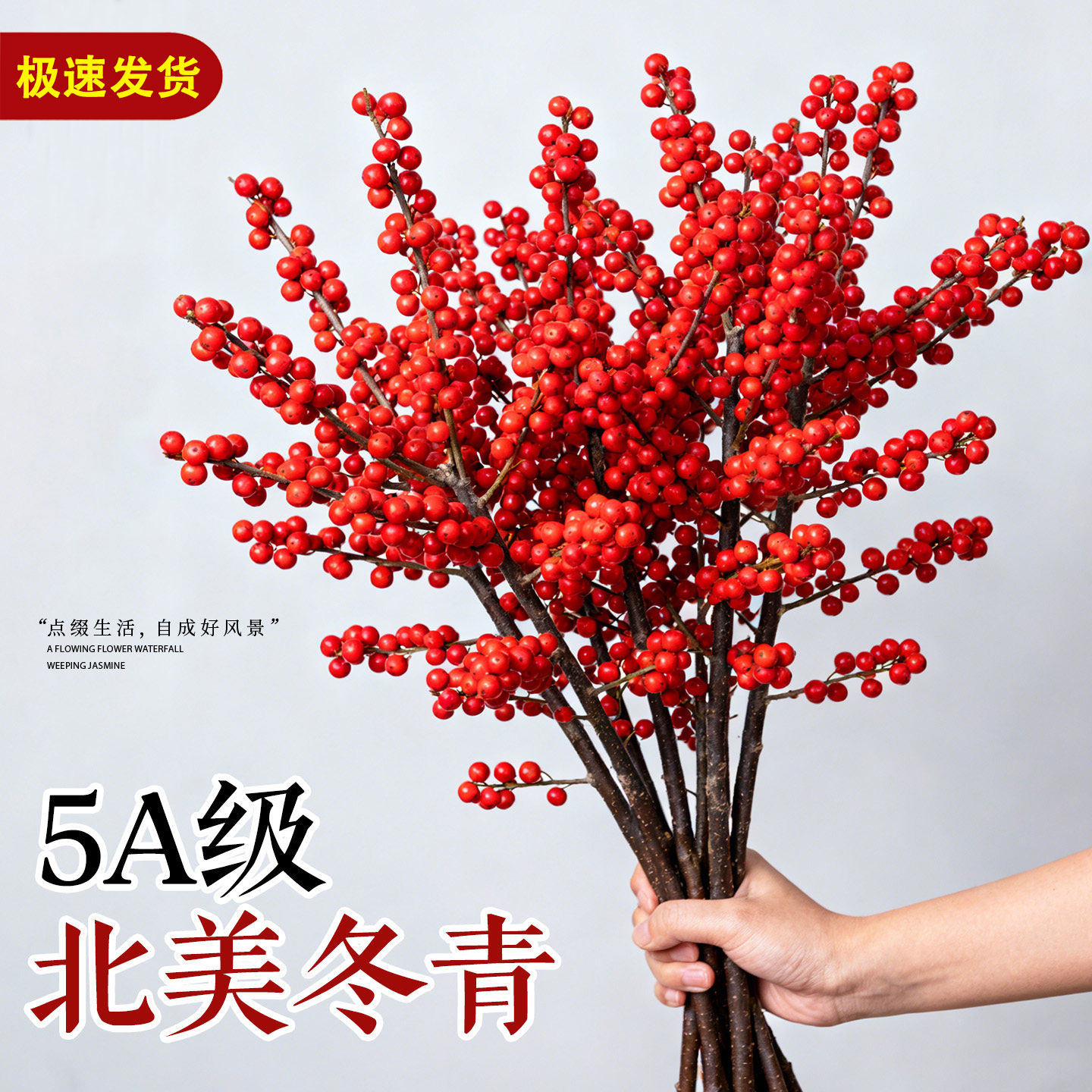 特级北美冬青红果真花鲜切花盆栽室内水培植物绿植年宵花摆件花束,鲜花速递/花卉仿真/绿植园艺,绿植,淘宝优惠券,粉丝福利购,淘宝优惠卷
