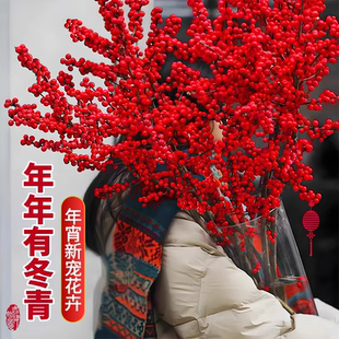 进口北美冬青红果鲜花切枝水培鲜切植物室内客厅绿植年宵花卉真花