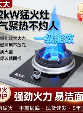 燃气灶单灶嵌入式家用煤气灶一级液化气猛火大火力节能能效天然气