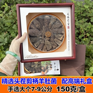 精选头茬剪柄羊肚菌高档礼盒装150克肉厚野生菌干货煲汤食材滋补