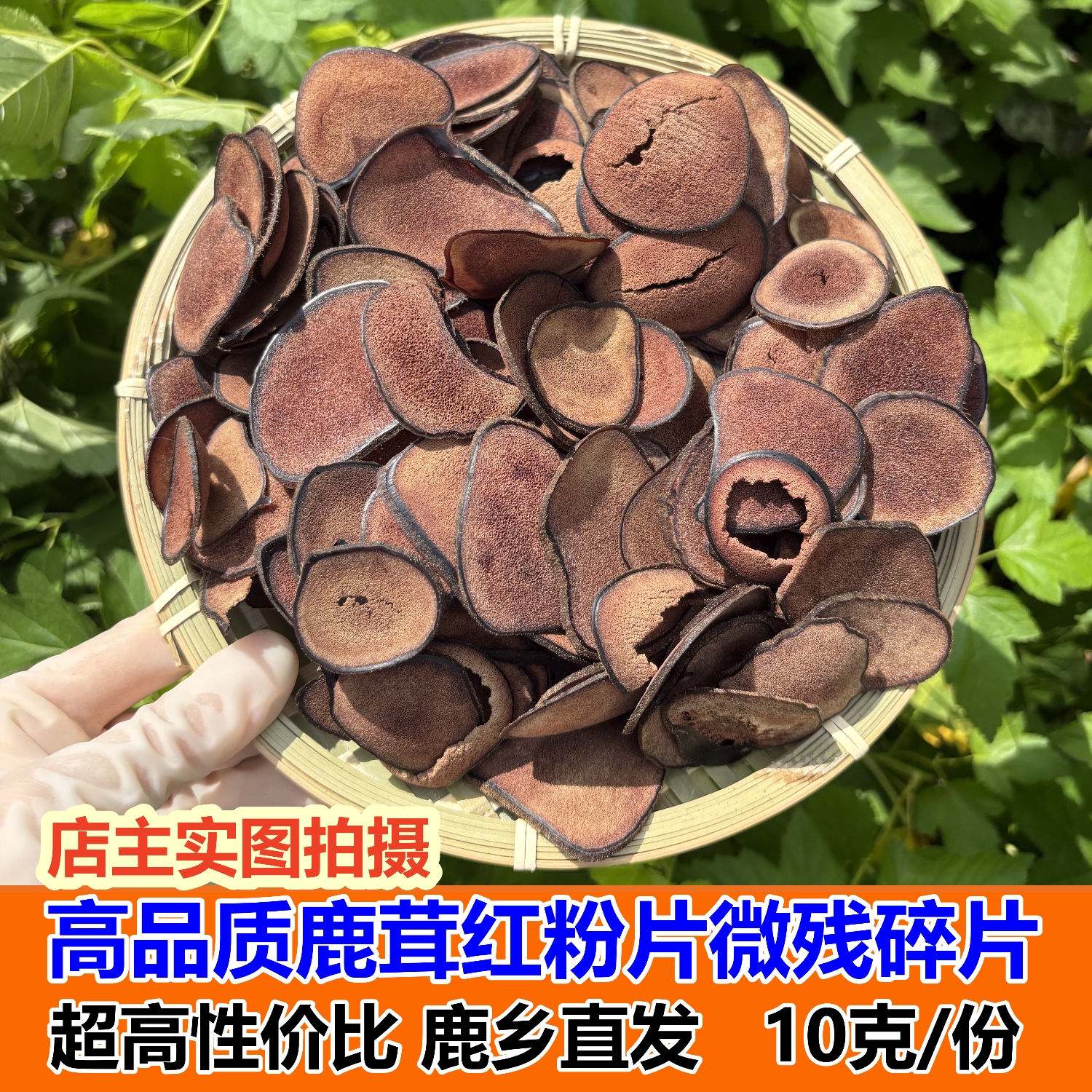 鹿茸红粉片长白山鹿场直发