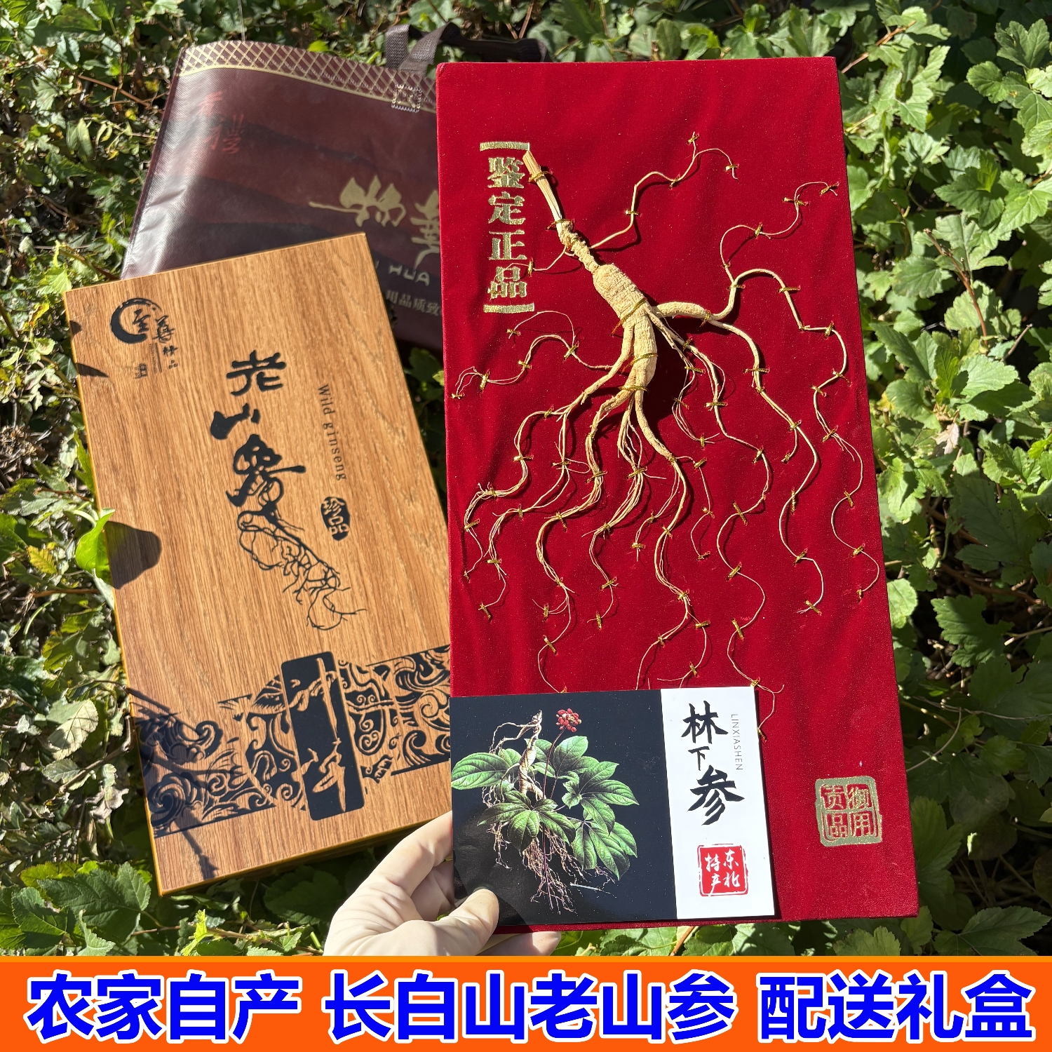 东北特产山参人参移山参林下参高档单支人参礼盒手提袋泡酒送礼