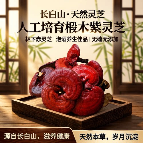 人工培育养殖有柄椴木长白山灵芝