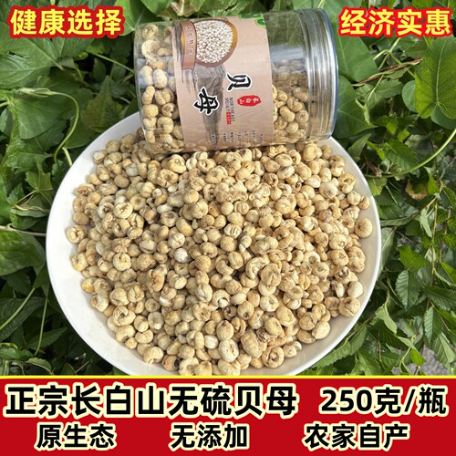 长白山野生贝母无硫正品