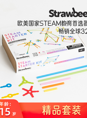 吸管建构大师STEAM拼插积木Strawbees儿童创意趣味DIY搭建