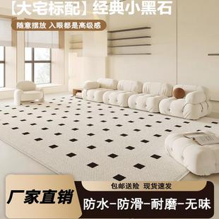 客厅卧室防水抗污耐脏免洗奶油米白轻奢硅藻丝地毯垫 黑石升级法式