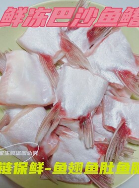 新鲜巴沙鱼鳍鱼肥油鱼刺鱼翅鱼肚肉鱼下巴淡水鱼肉冷冻美味好吃