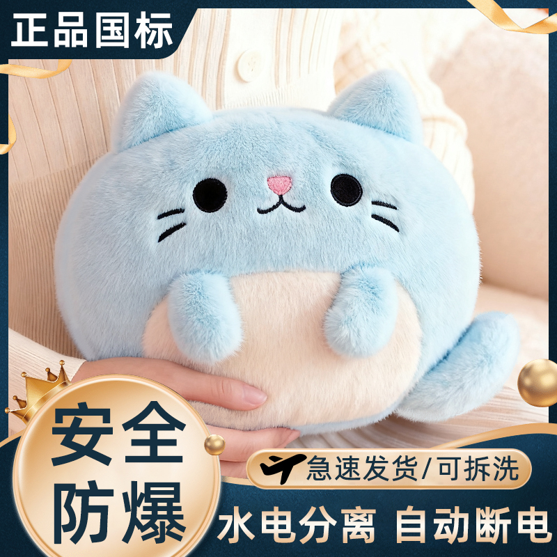 可爱熊猫热水充电新款电热暖手宝