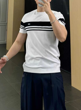 BUNERYNOBLE潮牌伊力特冰丝短袖T恤2026夏季新品欧货高端条纹撞色