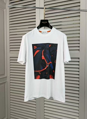 BUNERYNOBLE潮牌落肩液氨棉短袖T恤男2026夏季新品欧货高端马印花