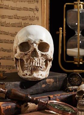 复古做旧骷髅头模型创意万圣节密室逃脱鬼脸装饰摆件美术拍摄道具