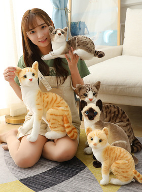 New plush toy simulation cat doll doll doll毛绒玩具仿真猫咪