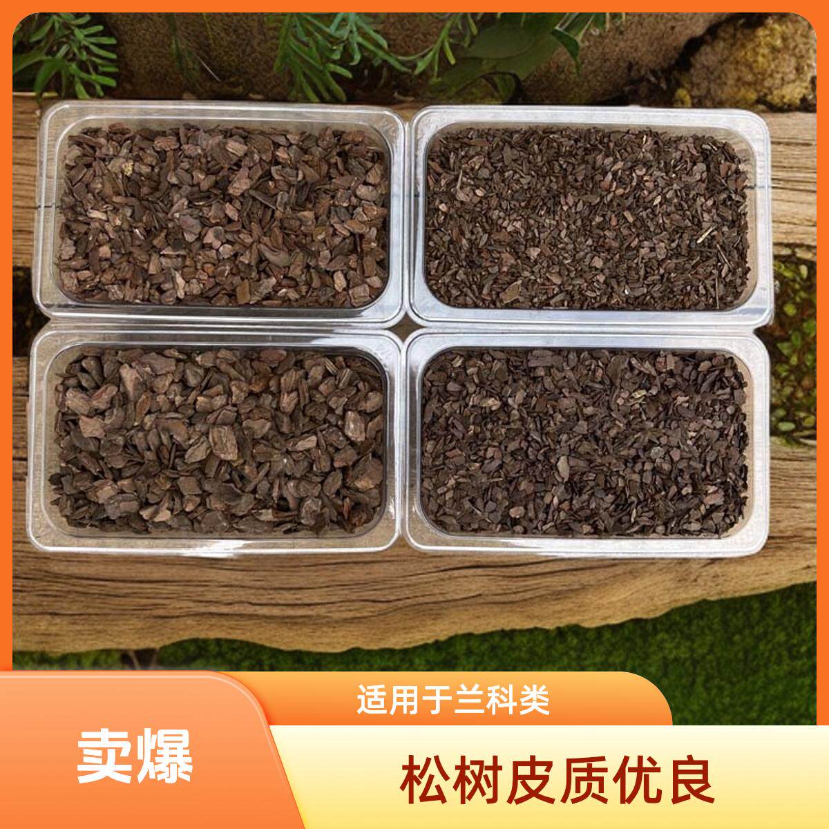 蝴蝶兰植料松树皮自然发酵