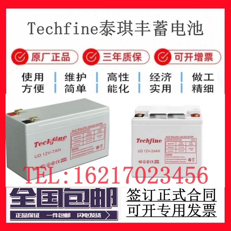 Techfine泰琪丰蓄电池UD12V-38AH7.2a17a24a40a65a100a150a200ah