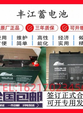 FULLRIVER丰江蓄电池HGL100-12/12V7a4a24a38a40a55a65a100a150ah