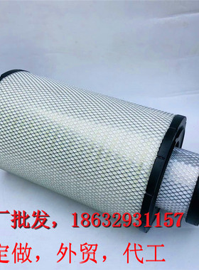 11033996/11033997 P777868 46770 C321700/2 AF25454空气格滤芯