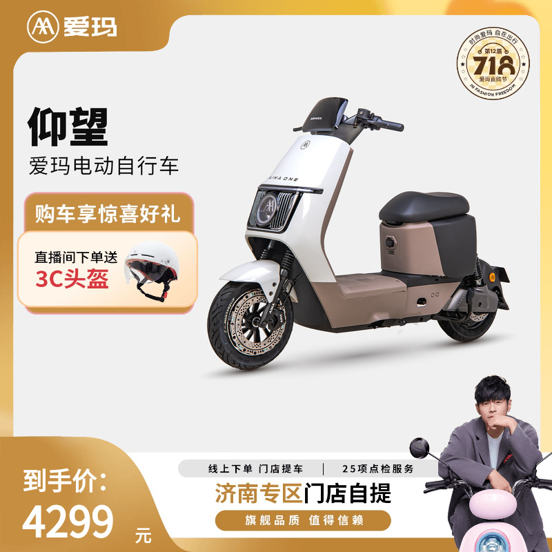 【济南专区本地化门店自提】爱玛仰望电动车铅酸电动自行车