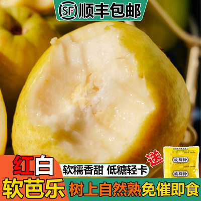 顺丰包邮福建软心冰淇淋奶油芭乐