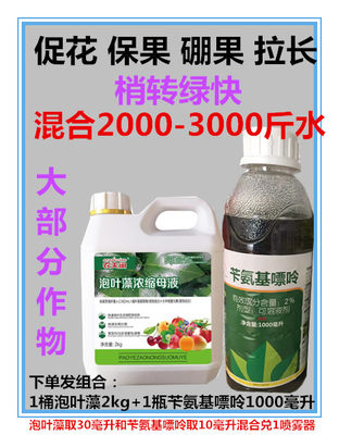 苄氨基嘌呤果细胞分裂素泡叶藻促花嫩梢老熟抗寒抗冻硼果膨大拉长