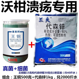 柑橘溃疡专用药70%王铜+代森锌治疗耐雨保护真菌细菌溃疡杀菌剂