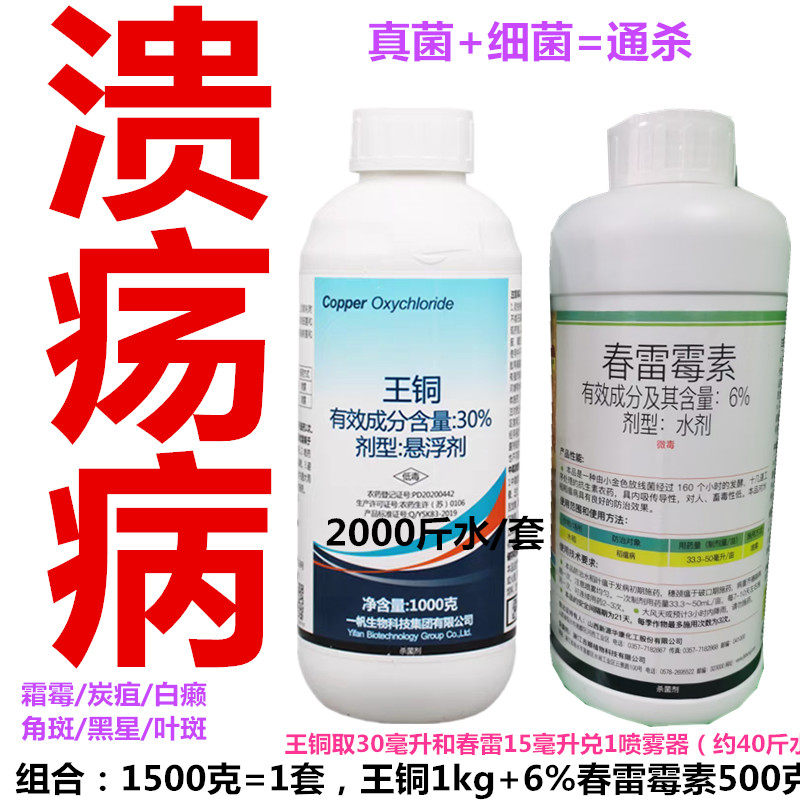 6%春雷霉素+30%王铜柑橘溃疡病柑桔真菌细菌内吸治疗保护杀菌剂