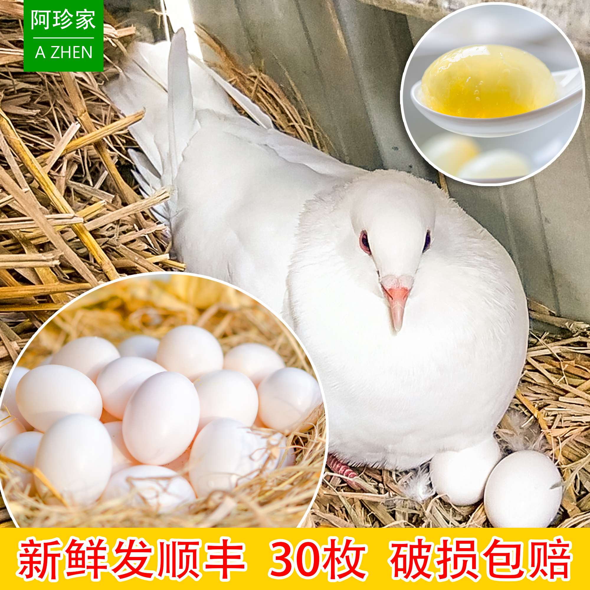 农家散养新鲜鸽子谷物杂粮30顺丰