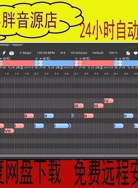 Music Developments Melodya WIN MAC 旋律生成器 动机编辑器