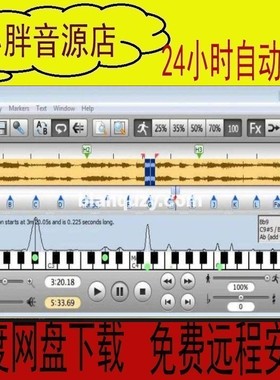 Transcribe  9.4 扒谱辅助制作软件中文英文双版 WIN版 免费远程