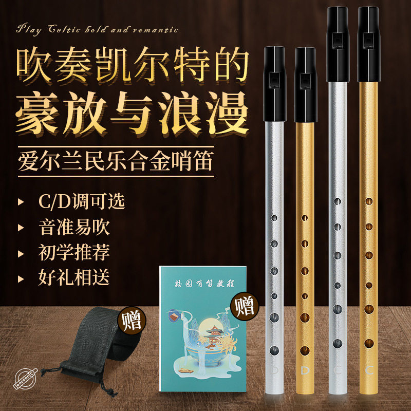 爱尔兰哨笛C调D调金属笛子初学儿童专业直笛六6孔竖笛小学生专用