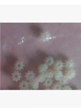 全新适用尼康镜头 10-30 11-27.5 光圈齿轮 J1 J2 镜头维修黑屏