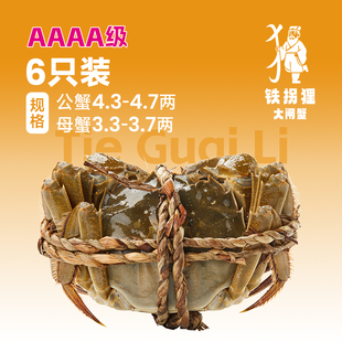 活蟹 家庭简装 铁拐狸系列6只装 母蟹3.5两 大闸蟹 公蟹4.5两