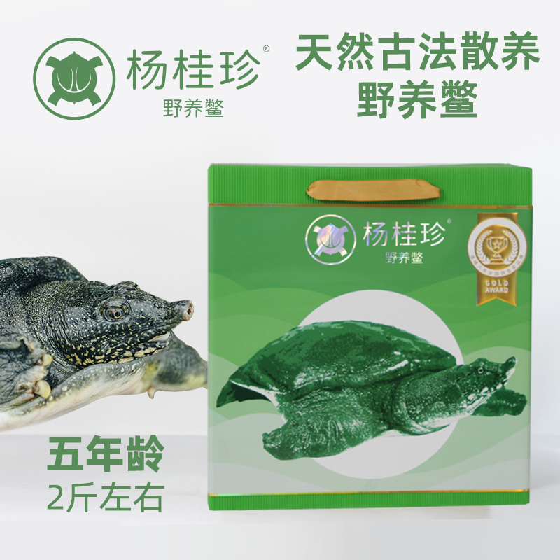 杨桂珍太湖鳖(5年以上 太湖野养甲鱼)礼盒装 1000g 鲜活 每只2斤