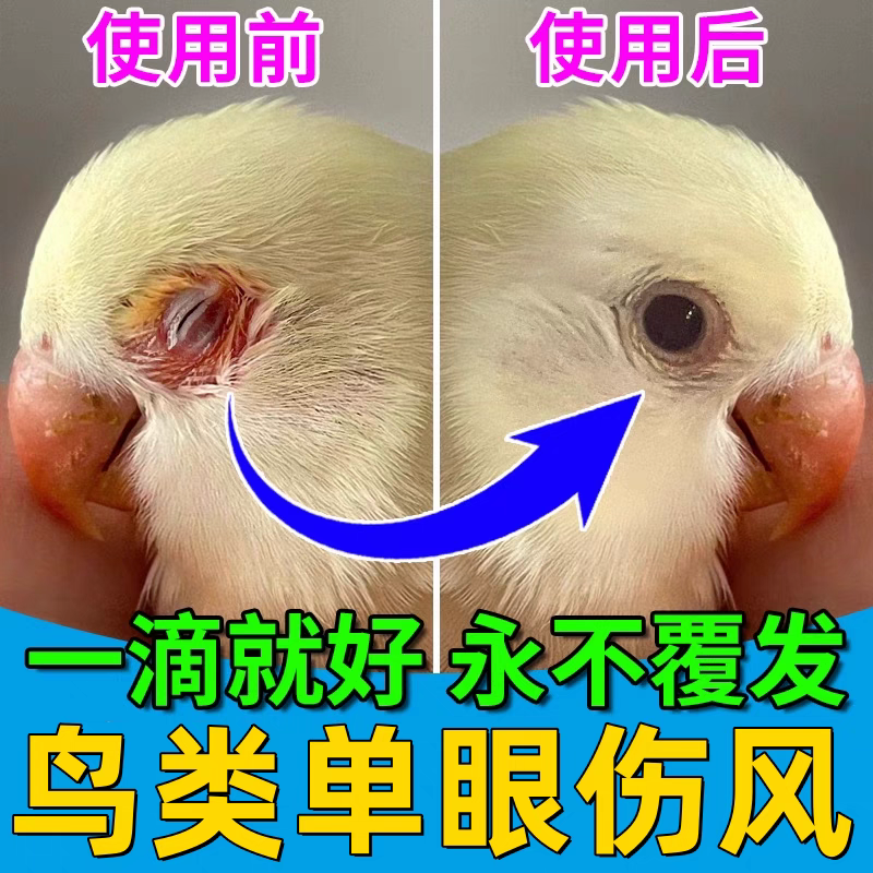 一滴灵眼流泪肿胀鹦鹉眼病单眼伤风闭眼玄风虎皮信鸽鸽眼药水非药