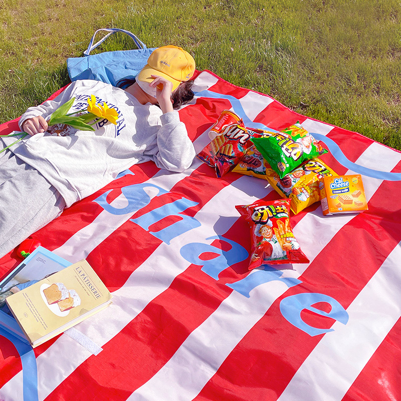 ins风野餐垫加厚防潮防水海边