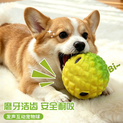 狗狗橡胶发声耐咬磨牙球玩具