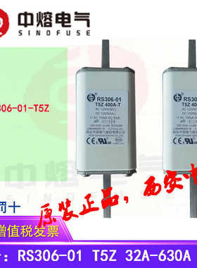 西安中熔电气新能源直流熔断器保险丝保险管RS306-01 T5Z 1000VDC