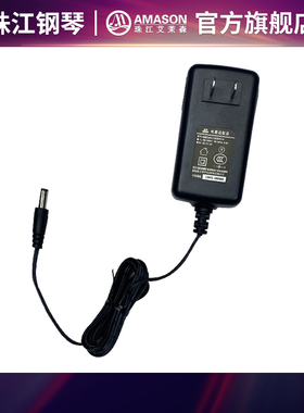 珠江艾茉森电钢琴V03/V03S/V05/VP119S/TD10/V05S电源适配器