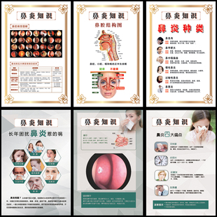 鼻炎科普知识海报医院展板养生挂图诊所宣传画挂画鼻腔结构图墙贴