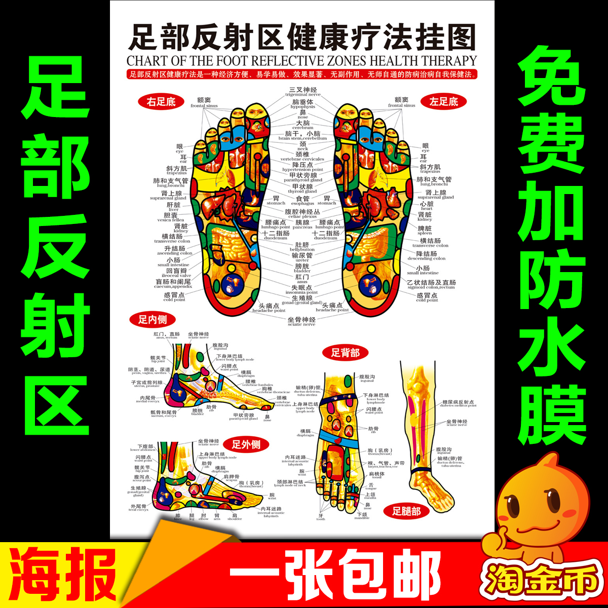足部反射区挂图足底足疗按摩好处图片经络穴位图图解中医养生海报