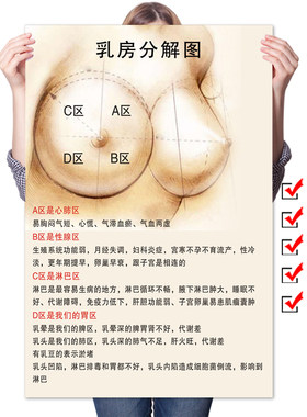 女性乳房结构图矢状解剖图胸部乳腺健康疾病艾灸全身经络穴位海报