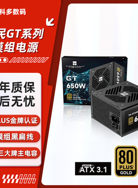 利民GT650/750/850 金牌全模组 ATX3.1供电标准PCI-E5.1 电脑电源