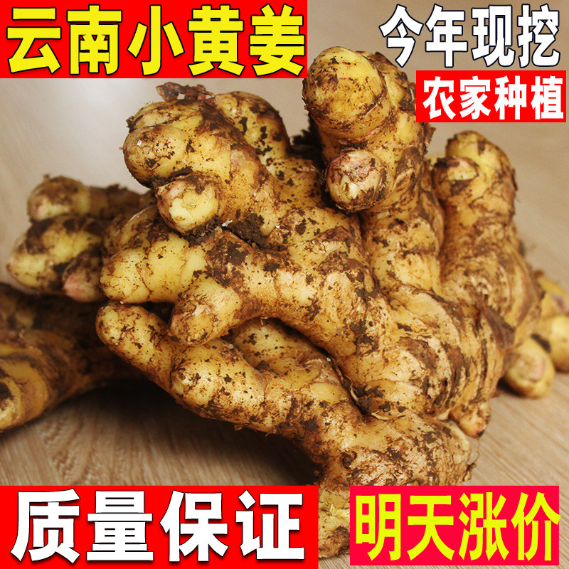 云南小黄姜新鲜3斤包邮无熏硫