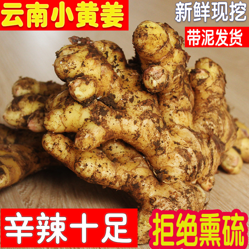 正宗云南小黄姜新鲜现挖包邮当季
