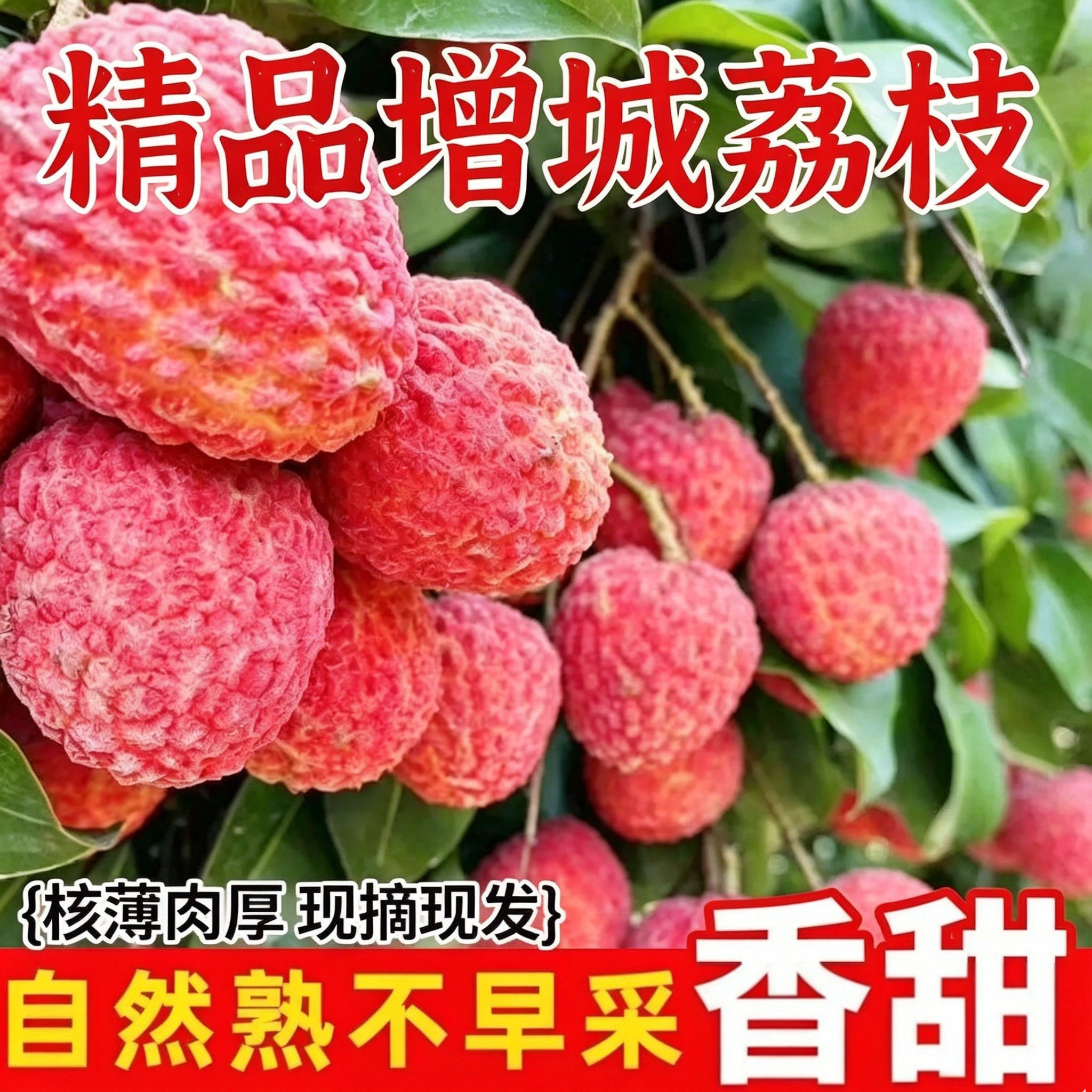 增城仙进奉糯米糍荔枝小核多汁