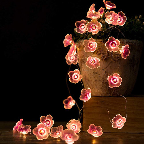 LED电池盒圣诞节庭院花朵灯串