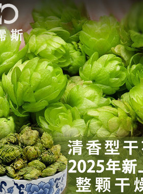 啤酒花干花25年新花卡斯卡特Cascade 漂亮花朵香气新鲜香型啤酒花