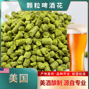 威廉麦特Willamette 新货新日期美国品种 低苦度 香气柔和啤酒花