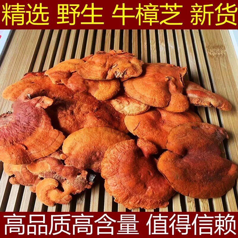 野生牛樟芝250克正宗台湾牛章芝红樟芝牛樟菇牛章菇红樟菇