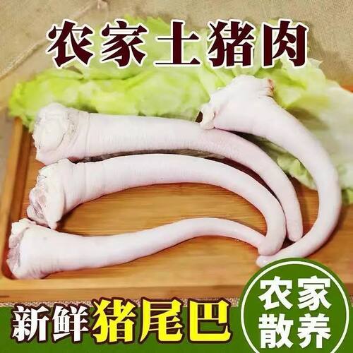 新鲜冷冻短猪尾巴整根带皮食品已处理干净农家散养土猪肉顺丰包邮